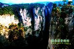 【純玩拼團(tuán)線路6】張家界、黃龍洞、天門山、天子山三晚四日游